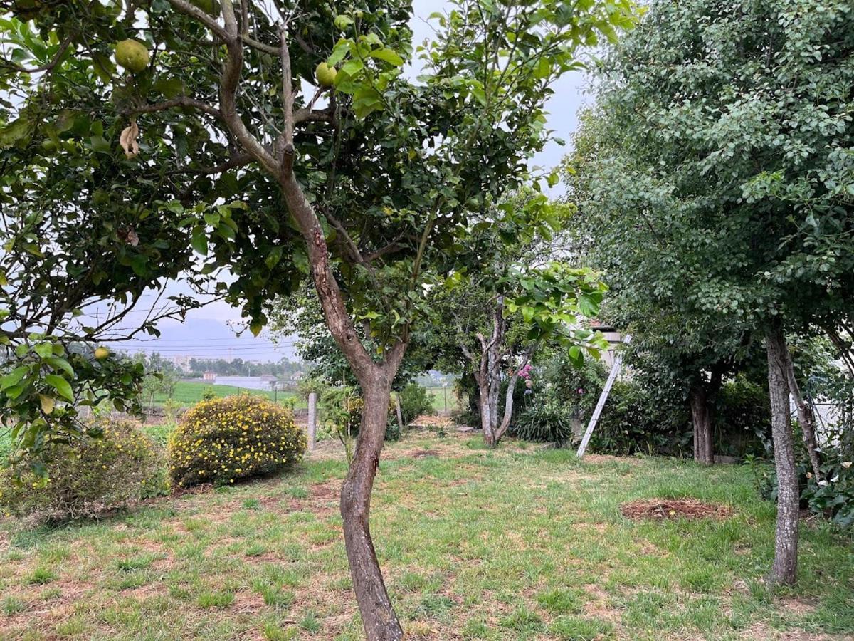 شقة Casa Do Sete Vilar do Pinheiro المظهر الخارجي الصورة